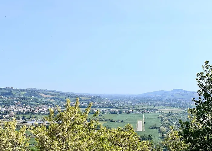 Civico 19